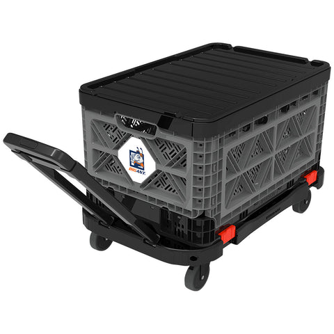 BIG ANT HANDI MOVER SET