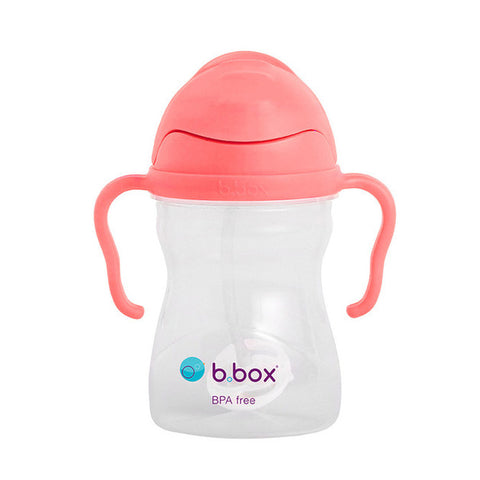 B.Box Sippy Cup V2 Watermelon 240ml
