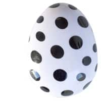 patterned hair brush detangling