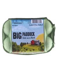big paddock eggs half dozen free range mixed grade 6pk