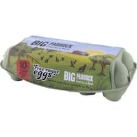 big paddock eggs 10pk free range mixed grade