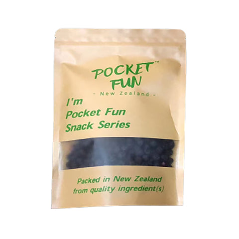 Pocket Fun Freeze Dried Blueberry(100g)